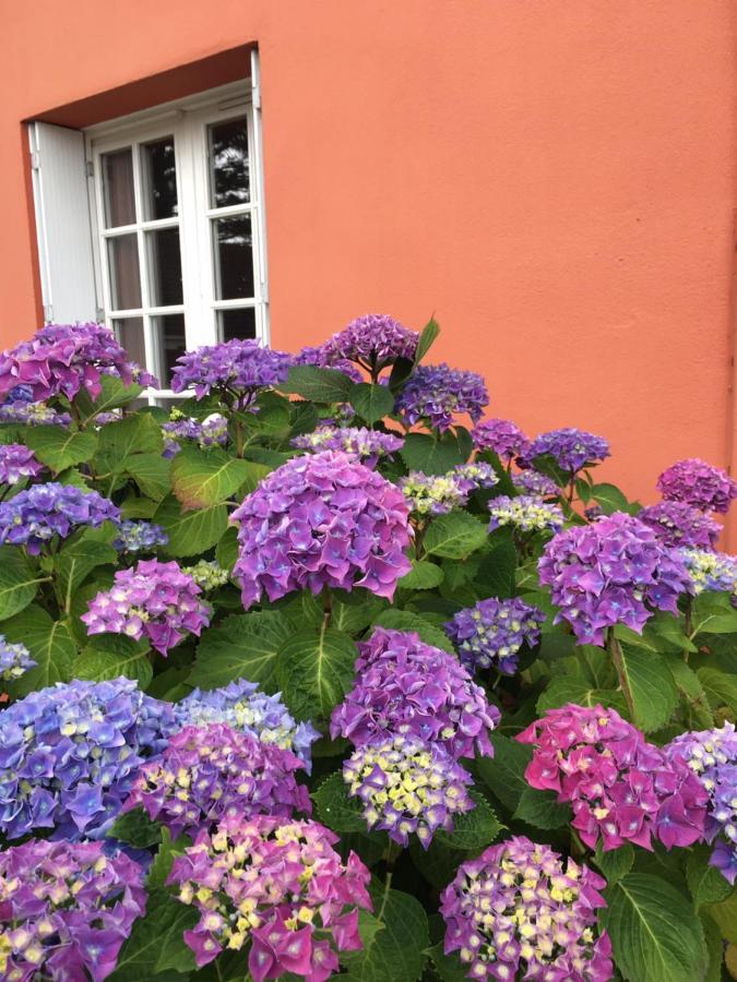 Hotel La Belle Etoile Thouaré-sur-Loire Εξωτερικό φωτογραφία
